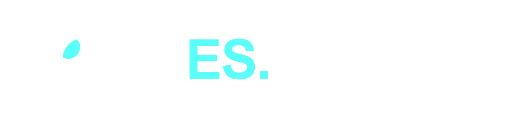 ES.Watching logo